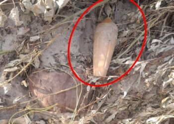 Hallan un artefacto explosivo sísmico en una zona rural de la ciudad de Tartagal