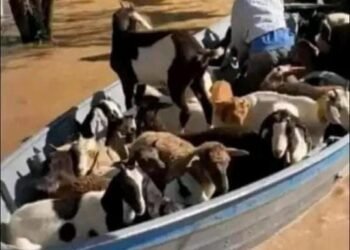 Es desesperante la situación en el Paraje El Totoral debido al desborde del río