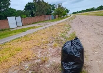 Continúa la limpieza en el sector de la ciclovía