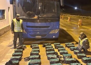 Gendarmería secuestró 200 kilos de hojas de coca