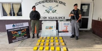 Intentaba ingresar al país con 31 kilos de cocaína ocultos en un freezer