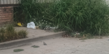 Vecinos del Barrio Juan Garay denuncian la falta de limpieza