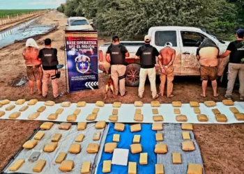 Oranenses fueron atrapados en Santiago del Estero con 113 kilos de marihuana valuados en $ 390 millones