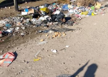 Siguen los trabajos de limpieza en calle Chaco