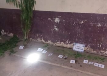 Secuestraron plantas de marihuana en Pichanal