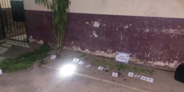 Secuestraron plantas de marihuana en Pichanal