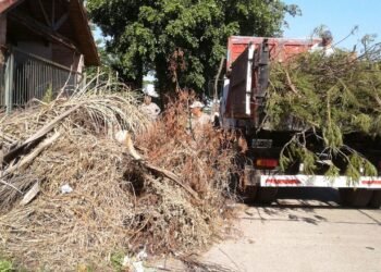 Teléfono habilitado para el levantamiento de ramas y escombros