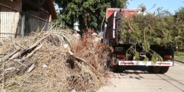 Teléfono habilitado para el levantamiento de ramas y escombros