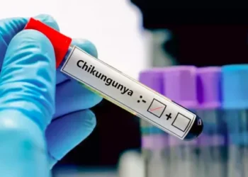 Confirmaron el segundo caso de chikungunya en Salta