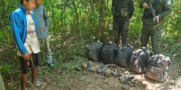 Gendarmería secuestró 61 kilos de cocaína y armas de fuego