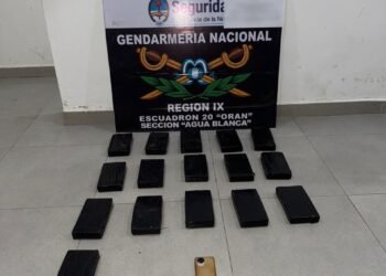 Boliviano fue detenido con 17 kilos de cocaína