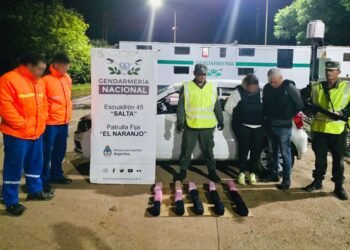 Extraen 17 kilos de cocaína del tanque de combustible de un automóvil