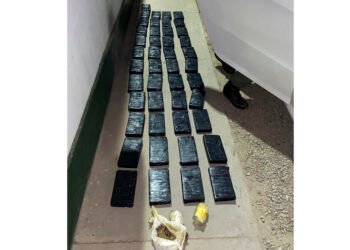 Fueron condenados por transportar 63 kilos de cocaína reducida con un antiparasitario para animales