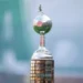 El 19 de marzo se sorteará la Copa Libertadores
