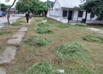 Trabajos de mantenimiento en el Barrio Jardín