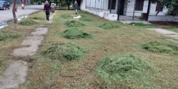 Trabajos de mantenimiento en el Barrio Jardín