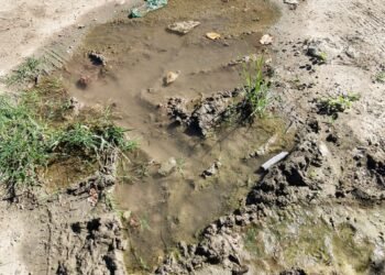 Vecinos denuncian una pérdida de agua