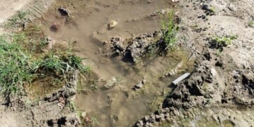 Vecinos denuncian una pérdida de agua