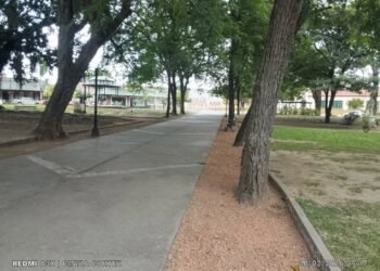 Cuidado de los espacios verdes de la ciudad