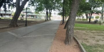 Cuidado de los espacios verdes de la ciudad