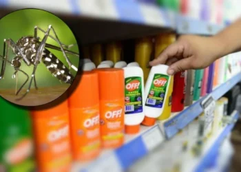 Piden prudencia en el tránsito fronterizo