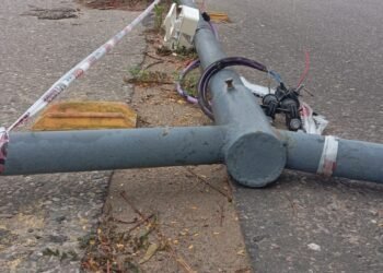 Avenida Palacios, un descontrol los fines de semana