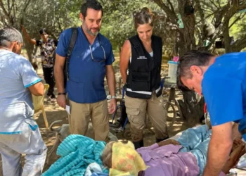Provincia asistió a más de 800 familias en Rivadavia Banda Sur