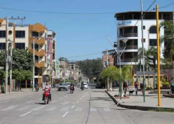 Bermejo confirmó 117 casos de chikungunya