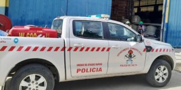 Bomberos de la Policía rescataron 4 crías de comadrejas de un corralón