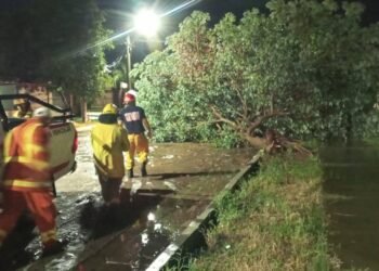 Bomberos trabajaron tras el fuerte viento y tormenta
