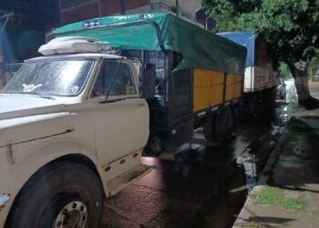 Infraccionado por transportar madera ilegalmente