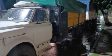 Infraccionado por transportar madera ilegalmente