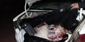 Transportaban 350 kilos de carne sin medidas sanitarias y fueron demorados
