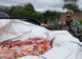 La policía secuestró 450 kilos de carne en Pichanal
