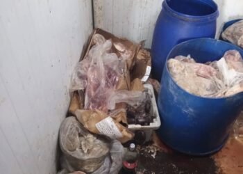 Decomisaron 450 kilos de carne en mal estado en el casco céntrico