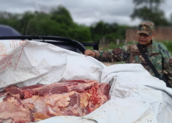 La policía secuestró 450 kilos de carne en Pichanal
