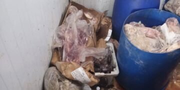 Decomisaron 450 kilos de carne en mal estado en el casco céntrico