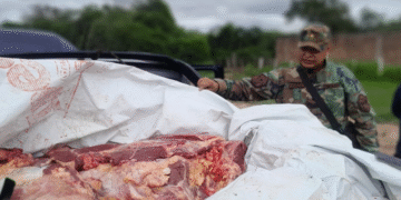 La policía secuestró 450 kilos de carne en Pichanal