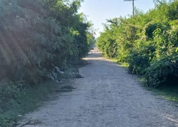 Vecinos del B° 6 de Enero denuncian abandono del mismo