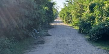 Vecinos del B° 6 de Enero denuncian abandono del mismo