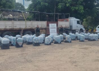 Camión fue detenido llevando 34.000 atados de cigarrillos de origen extranjero