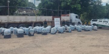 Camión fue detenido llevando 34.000 atados de cigarrillos de origen extranjero