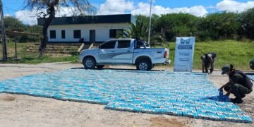 Secuestraron 30.000 atados de cigarrillos extranjeros y cubiertas