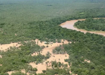 Provincia monitorea la crecida de los ríos Bermejo, Tarija e Itaú