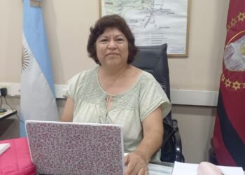 Dra. Gutiérrez: “Podríamos tener un brote de chikungunya en Orán”