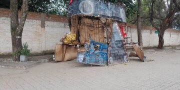 Vecinos piden que retiren del complejo las estructuras de las comparsas