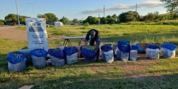 Despacharon de Orán a Buenos Aires 222 kilos de hojas de coca dentro de cinco encomiendas