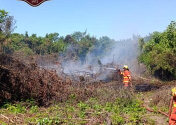 Incendio forestal en calle Córdoba al final