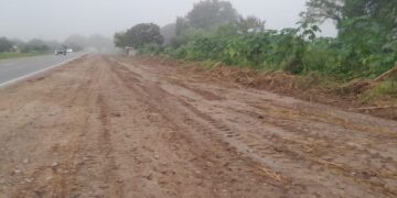 La Municipalidad limpió un sector de la Ruta 50