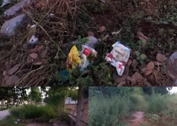 Deplorable estado de la Escuela “Terrones Riera” del Barrio 9 de Julio